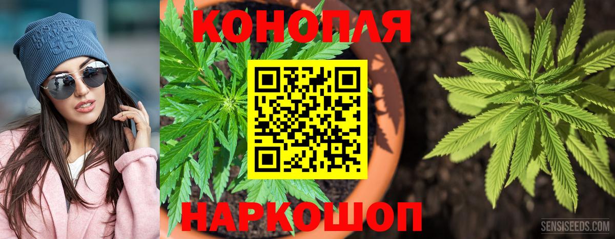 Каннабис гибрид Малоярославец